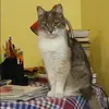 Отзыв от Анастасия Короткова